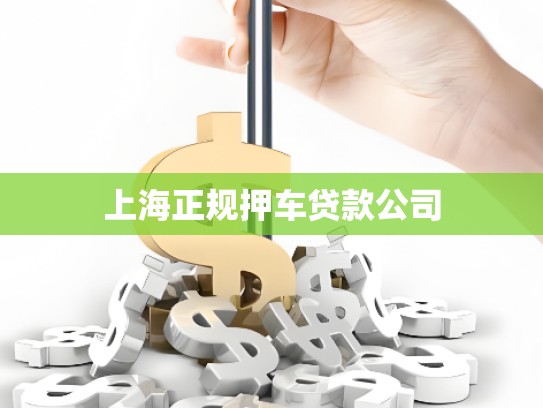 上海正規(guī)押車貸款公司
