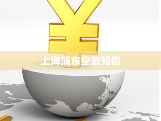 上海浦東空放短借