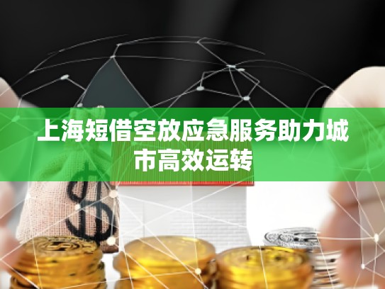 上海短借空放應(yīng)急服務(wù)助力城市高效運(yùn)轉(zhuǎn)