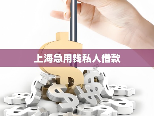 上海急用錢私人借款