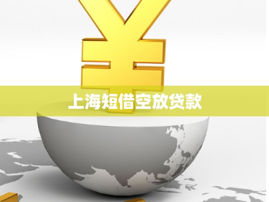 上海短借空放貸款