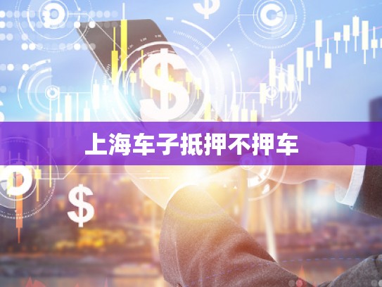 上海車(chē)子抵押不押車(chē)