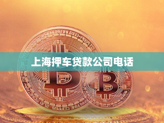 上海押車(chē)貸款公司電話(huà)