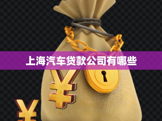 上海汽車貸款公司有哪些
