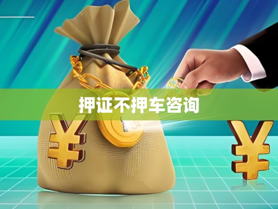 押證不押車咨詢