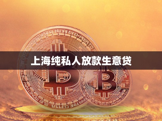 上海純私人放款生意貸