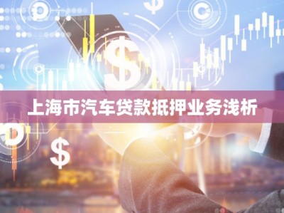 上海市汽車貸款抵押業(yè)務(wù)淺析