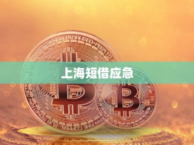 上海短借應(yīng)急