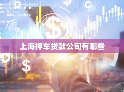 上海押車貸款公司有哪些