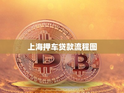 上海押車(chē)貸款流程圖