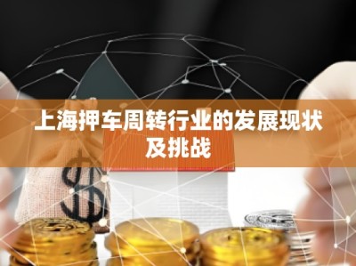 上海押車周轉(zhuǎn)行業(yè)的發(fā)展現(xiàn)狀及挑戰(zhàn)