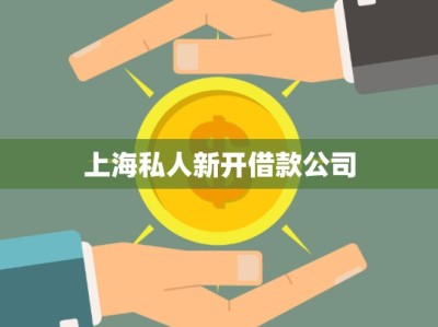 上海私人新開借款公司